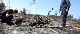 Därför blev det ingen ny Kräklingbobrand