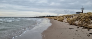 Tofta strand, Gotlands medelhavspärla