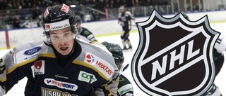 NHL-scout besöker Visby Roma