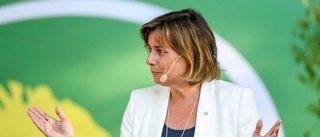 Klimatministern svingar vilt