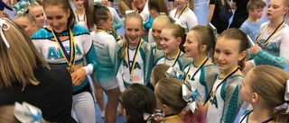 Stora framgångar för Norrbotten i Cheerleading