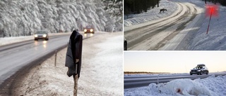 Blinkande stolpar med förhinder