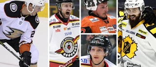 Lista: Så bra är sista minuten-värvningar i SHL