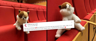 Katt-a-strof på Kulturens hus – bortsprungen katt söker ägare efter barnshow