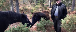 Svårt att sälja russ på Gotland efter torkan