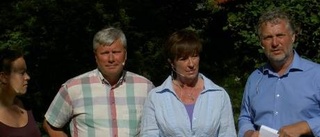 Rödgröna (s)kattehöjare