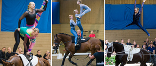 Medaljregn för Uppsala på hemmaplan: "Fantastiskt kul"