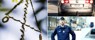 Polisen inför midsommar: "Ha is i magen" 