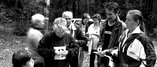 Fornåsas älvor  i lingonskogen