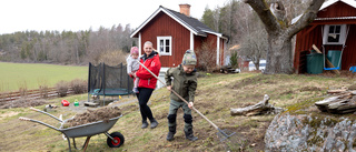 Djur bökar gång på gång upp familjens trädgård: "Obehagligt"