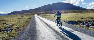 Tips i vårvärmen: Låt barnen upptäcka naturen