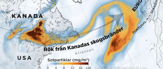 Rök från Kanadas skogsbränder har nått Europa