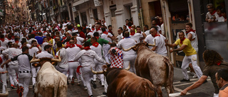 Dags för kontroversiell tjurrusning i Pamplona