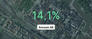 Annsam AB ökade vinsten   