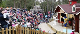 Kolmårdens anställda får drömresa