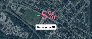 Så gick det för Varsamma AB under 2023