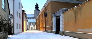 Kyrkan vill förstärka närvaron på Gotland – 2 nya lediga tjänster