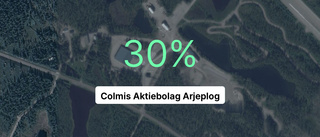 Ökad omsättningen för Colmis Aktiebolag
