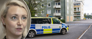 Två unga män begärs häktade för rån på Malmudden i höstas 