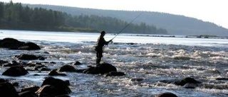 Spår 1.000 nya jobb inom fisketurismen