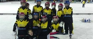 Piteå Bandy vann cup