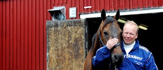 Salmelas stjärna tvåa i miljonloppet