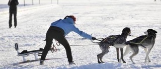 Bra friluftsliv guld värt