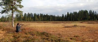 Prestigelös jakt på älg