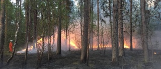 Kortslutning tros ha orsakat skogsbrand