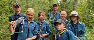 Marsbäcken scoutkår är på äventyr – internationellt scoutläger med 11 500 besökare • Martina: "De har fått massa nya vänner"