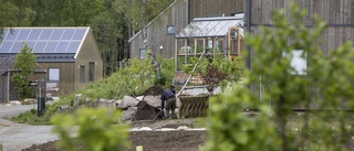 Planförslag för ekoby på samråd