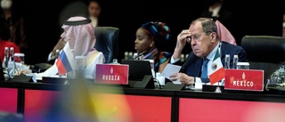 Pressad Lavrov stormade ut ur G20-mötet