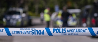 SD struntar i brottsoffren och hänger ut ickesvenskar