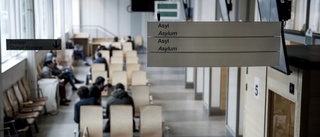 Läkarstudenten Aliyya Haciyeva kan utvisas