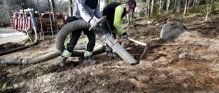 De städar undan de sista resterna av bly på Odlarens gamla skjutbana