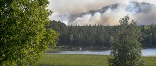 Nyköpingsbrandmän har anmält sig frivilliga – hjälper Gävleborg med storbränderna