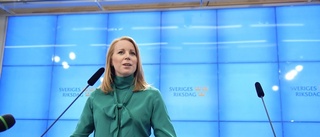 Debatt: Annie Lööf gömmer huvudet i dyngstacken