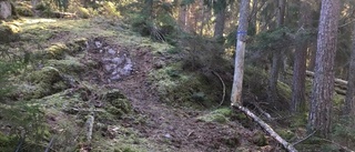 Efter skadegörelsen i naturreservatet – snart inleds återställningsarbete