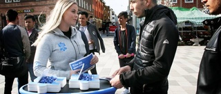 Jobbmässa på Fristadstorget