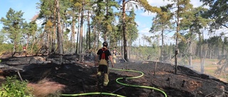 Stort skogsparti eldhärjades i Almunge – läget under kontroll