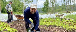 Trädgårdsodlarna träffades på Facebook – nu åker de hem till varandra och rensar ogräs: "Går som en stafettpinne"