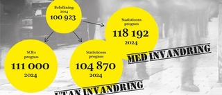 Svårt klara välfärden utan invandring