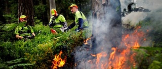 Länsstyrelsen ska bränna på Ämtö