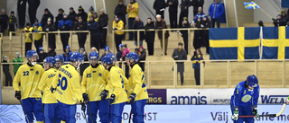 Storseger för Sverige i bandy-VM