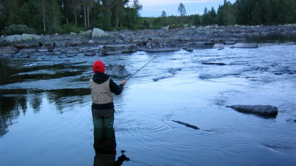 Efter en orolig tid både för fiskevårdsföreningen och de som fiskar, är det nu grönt ljus för fiske i Arjeplogsströmmarna. (Arkivbild)