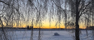 Kall lördagsmorgon i trakterna • Stor temperaturskillnad mellan Målilla, Gladhammar och Horn 