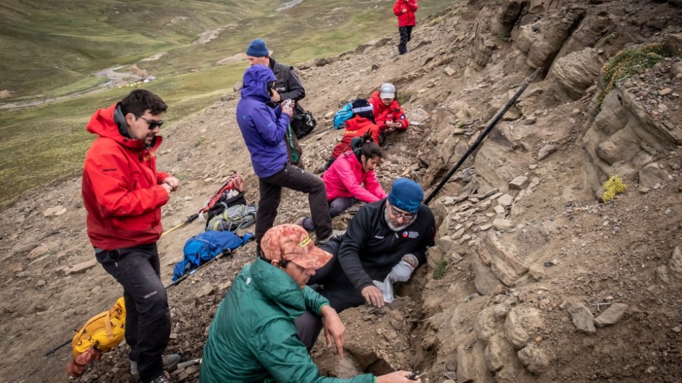 Här, vid berget Cerro Guido i chilenska Patagonien, har forskarna grävt fram lämningar av flera olika dinosaurier.