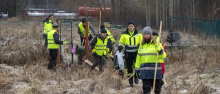 Nu håvas resten av plastkulorna in – premiär för frivillig räddningsgrupp: "Vi kan vara med när det händer"