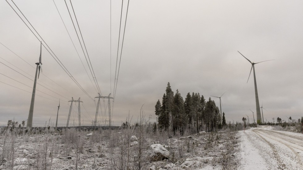 LKAB behöver elen. Statkraft ska bygga vindkraften. Bilden är från Markbygden.