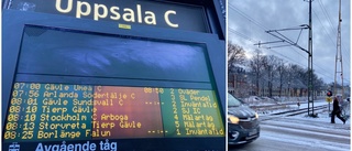 Trafikverkets förklaring till strulet: "På det här sättet kan tåg gå enligt tidtabell"